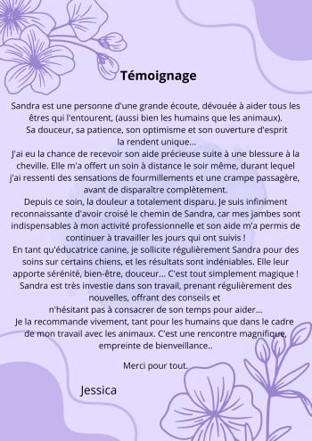 Blessure cheville - Avril 2025